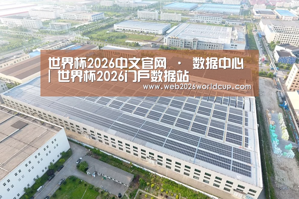 案例展示二