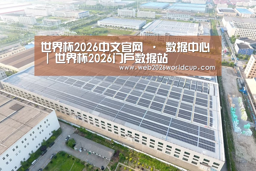 案例展示一