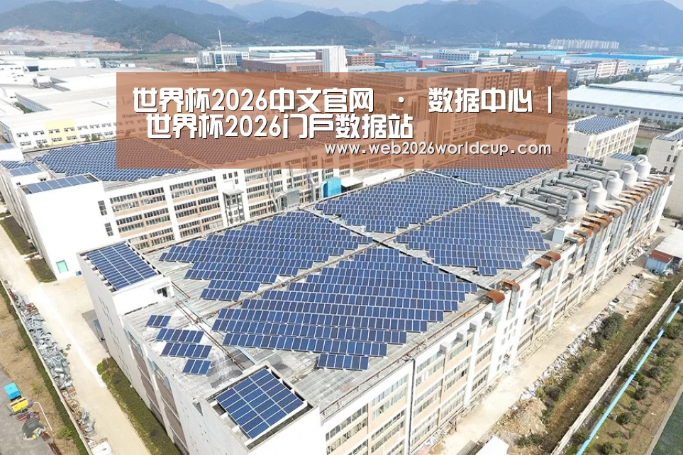 案例展示一