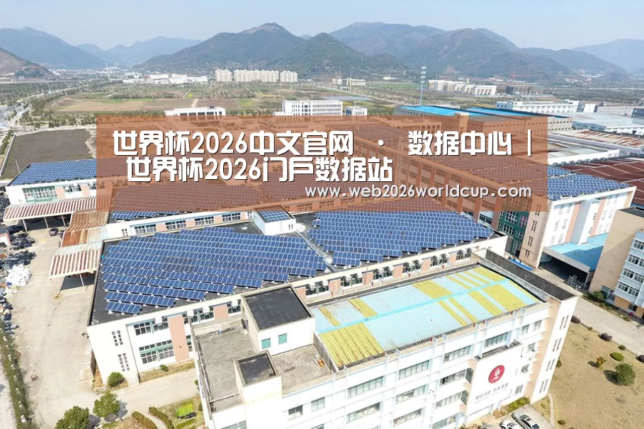案例展示四
