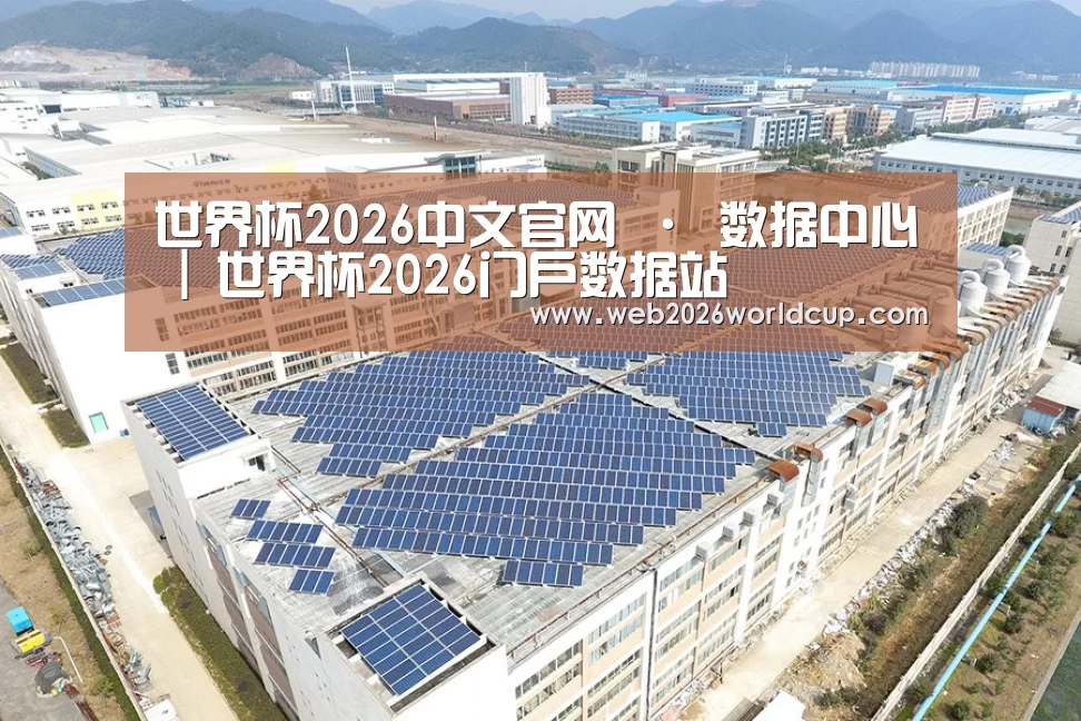 案例展示四