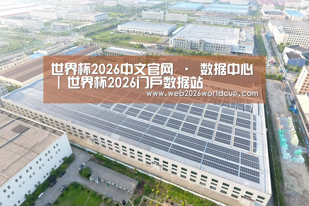 案例展示二