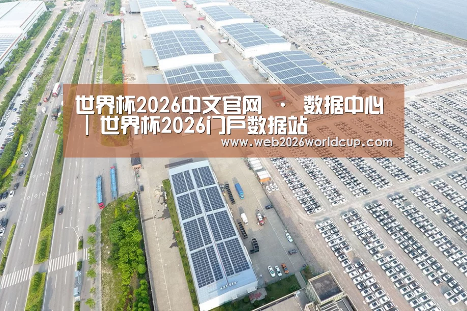 案例展示一