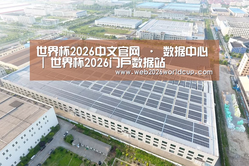 案例展示三