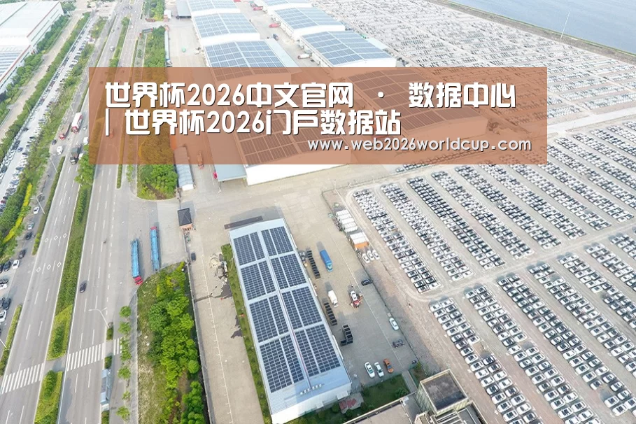 案例展示四