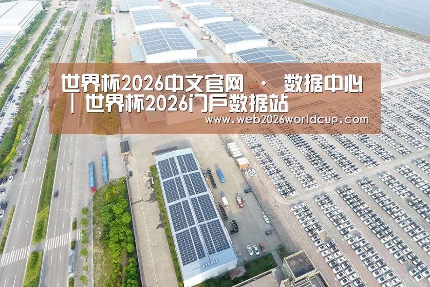 案例展示三