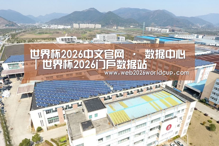案例展示三