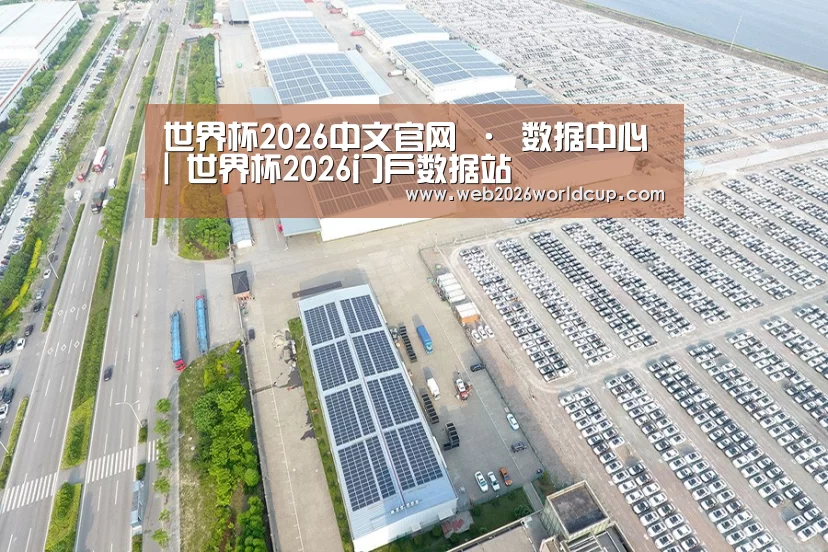 案例展示二