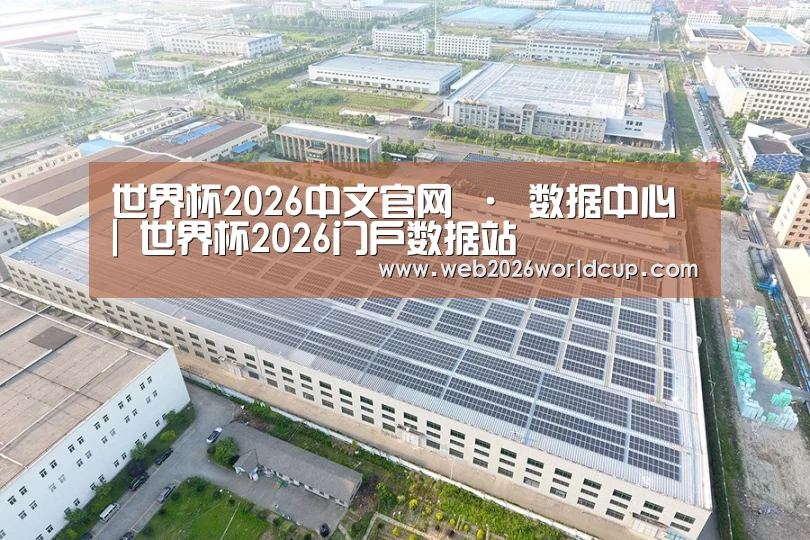 案例展示四