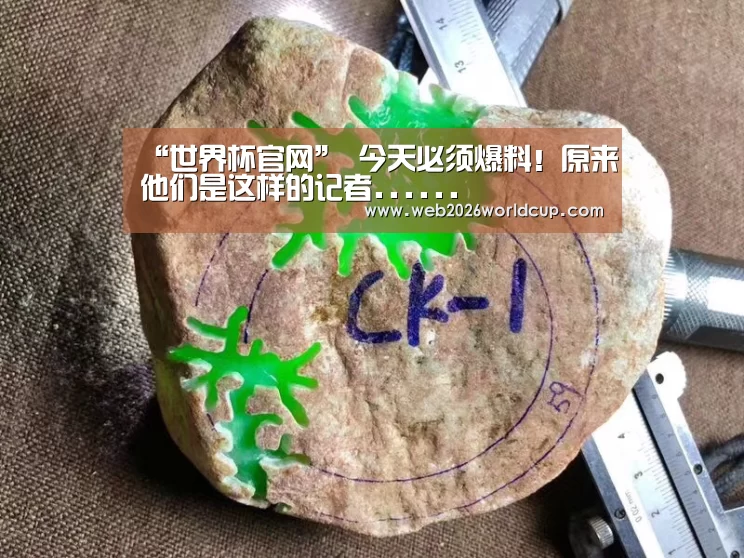 “世界杯官网”
今天必须爆料!原来他们是这样的记者......(图2) 比赛直播