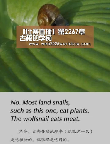 【比赛直播】第2267章 古板的学痴(图1) 比赛直播